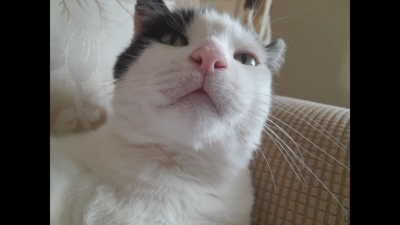 A day in the life of Buster