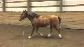 Before and after PSSM treatment