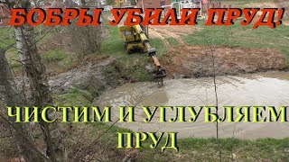 Ё-моЁ! БОБРЫ УБИЛИ МОЙ ПРУД! Чистим и углубляем водоем! Beavers killed the pond! We clean it!