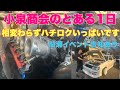 【AE86】小泉商会のとある1日。。。ハチロク製作に毎日大忙しです！走行会のも告知あります！