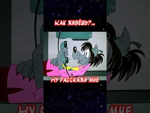 Ну расскажи мне как живёшь? Весёлая открытка для отличного настроения👍