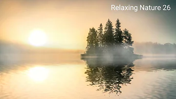 Relaxing Nature 26| Forest |Green Meadows | Autumn | Meditation music for deep sleep