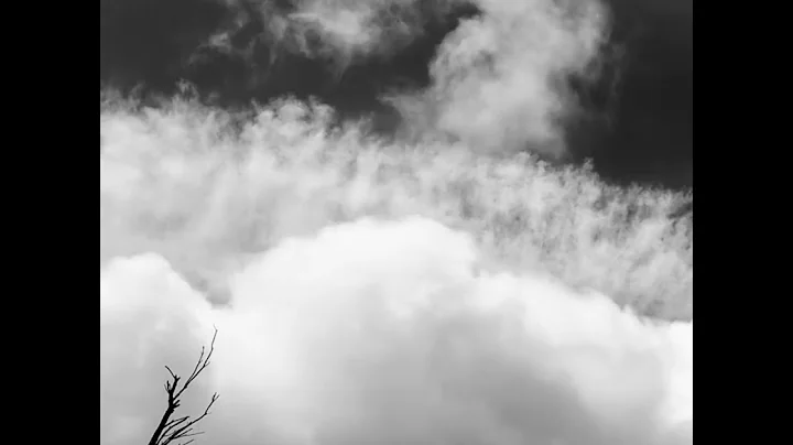 SENTINEL  |  Emily Sanzaro