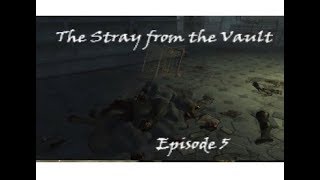 The Stray from the Vault | Episode 5