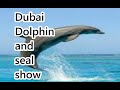 Dubai dolphinarium  hemantg actions
