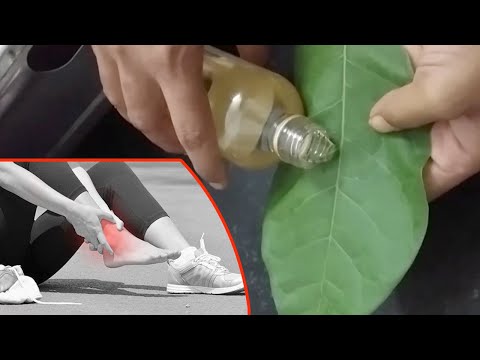 జిల్లేడు ఆకు మరియు ఆముదం, FAST Relief FROM HEEL PAIN OR SHOULDER PAIN | calotropis LEAF &amp; CASTOR OIL