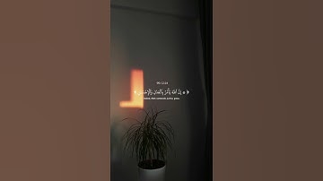 إِنَّ الله يأمر بالعدل وَالإحسَانِ 🤍 l القارئ عبد الرحمن مسعد l قرآن كريم .. ♡