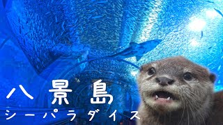 【神奈川県 4K】横浜・八景島シーパラダイス(水族館動画)