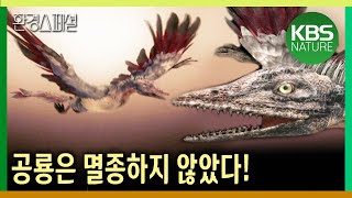 공룡은 멸종하지 않았다 [사이언스21  지구대멸종 3부작 : 2부 공룡, 새로 살아남다] /  KBS 20040128 방송