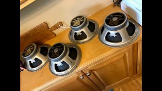 Mesa Celestion Vintage 30 Shootout- '99 vs '00 vs '01 vs '02 vs '21.