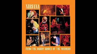 Video thumbnail of "Nirvana - Intro (Live At London Astoria, UK, December 3, 1989)"