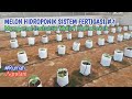 Menanam Melon Hidroponik Sistem  Fertigasi #Part 1, Instalasi Hidroponik Fertigasi