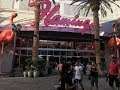 Flamingo Casino - YouTube