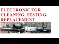 Electronic EGR Valve Cleaning Testing and Replacement