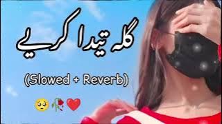 Gila Teda Karieay Asi Mar Na Jayie Slowed   Reverb      TikTok Trending Slow Songs
