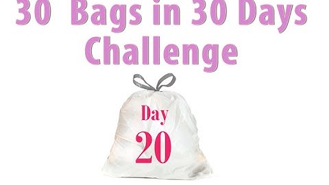 30 Bags in 30 Days || Declutter Challenge || Day 20