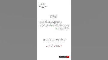 سورة النبأ - من الآيه (38) إلى (39) القارئ فهد أبو شبيب 1445 هـ - 2023 م