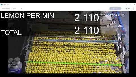 Automatic Fruit Counting for Conveyor Systems: Keep Count of the Fruits in Your Packhouse
