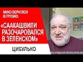 Цибулько: о причинах и результатах возвращения Саакашвили в Грузию @ANNEKSIYA NET