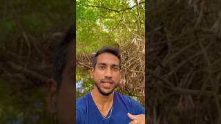 I visited the Nariva Swamp with the Kalpoo Brothers