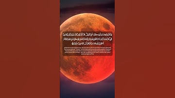 تلاوة خاشعة تريح القلب بصوت جميل جداً #اكسبلور