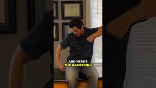 Tendon Compression and Butt Pain: The High Hamstring Connection