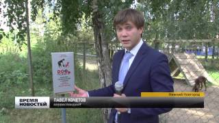 Дог-пакеты установили в парке в Нижнем Новгороде Дог-пакеты установили в парке в Нижнем Новгороде