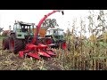 FENDT Favorit 614 LSA (mit Rüfa) 612 LS -Maishäckseln 2017 !!!