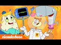 Губка Боб Квадратные Штаны | Девчонки, вперёд! | Nickelodeon Россия