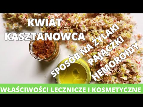 Wideo: Korzyści z kasztanowca – wykorzystanie kasztanowca i kasztanowca