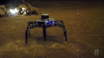 Robots Explore Caves To Assist Fossil Digs