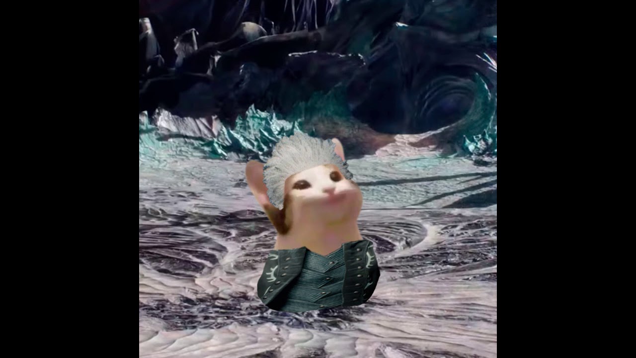 bury the light but vergil is pop cat