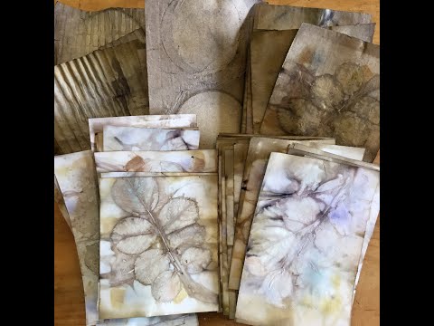 eco printing on paper by rita summers