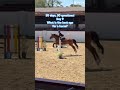 Comment your answer! 50 days 50 questions day 9! I think 8 y/o 🫶 #horse #SophieEquestrian #eq #fyp