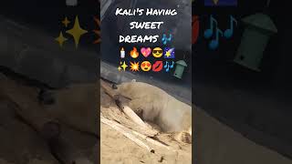 DJ'S SAY SWEET DREAMS ARE MADE OF THESE.3/18/2023💋😍💥💥✨🌠🌠🎶 TE AMO FROM YOUR FAVORITE SEXY ASS DJ