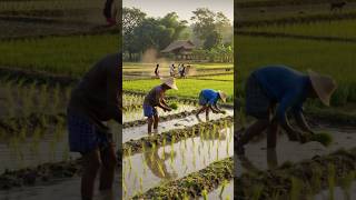 bhaiyon jaldi karo kaam #viral #farming #facts