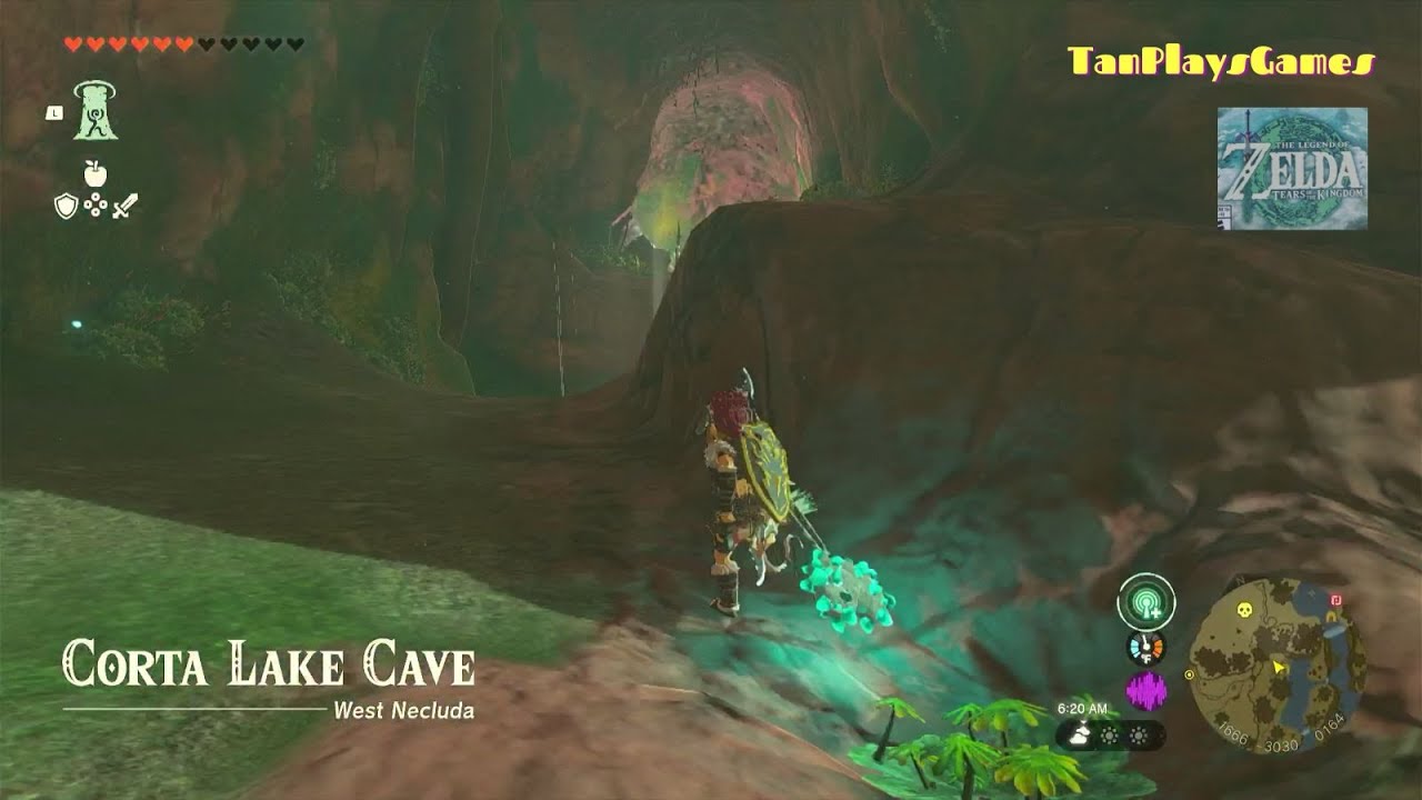 Corta Lake Cave BubbulFrog Location : Zelda Tears of The Kingdom.