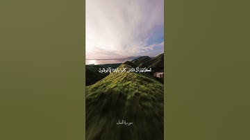 تلاوة هادئة ما تيسر من سورة النمل للقارئ عبد الرحمن مسعد #quran #اكسبلور #راحة_نفسية #قرآن #islam