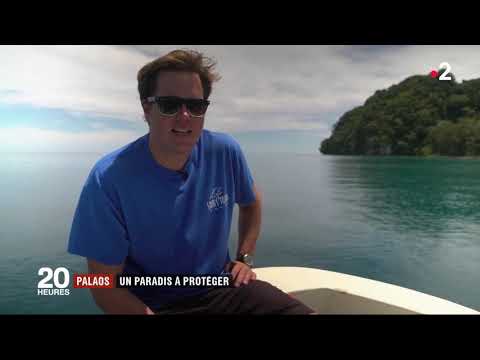 Vidéo: Îles Palaos Dans L'océan Pacifique : Principales Attractions