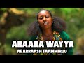 Abarraash tammiruu  araara wayya   new oromo music 2023 official