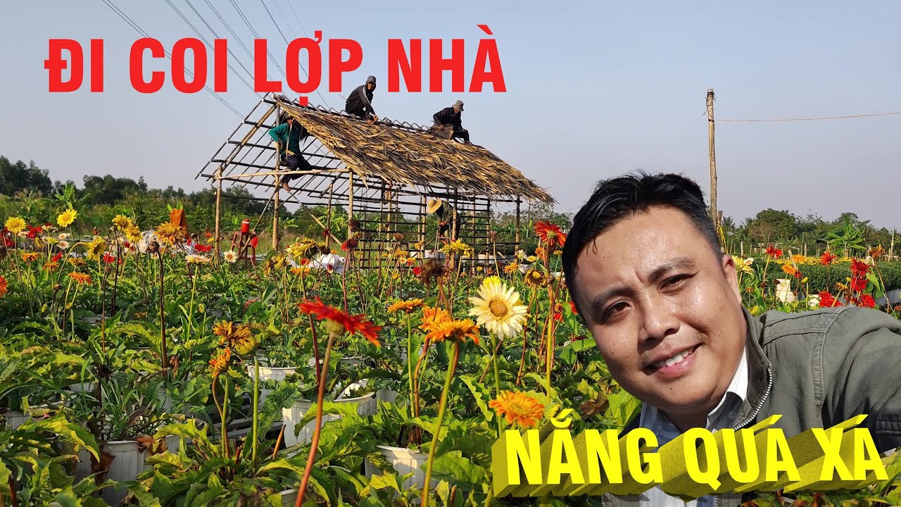 ĐI COI LỢP NHÀ - TIỂU CẢNH TẾT XƯA, TỔ HỢP TÁC HOA KIỂNG TÂN AN - P.1