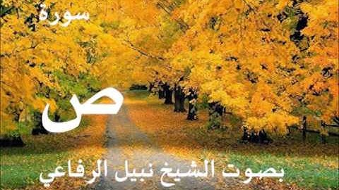 سورة ص بصوت الشيخ   نبيل الرفاعي 38