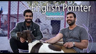Pointer dog  facts in urdu and hindi , Dogs diet plan ,Popular Dogs | Pet Guru