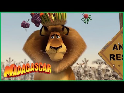 DreamWorks Madagascar | Alex sai da Reserva | Madagascar  Escape 2 Africa Filme