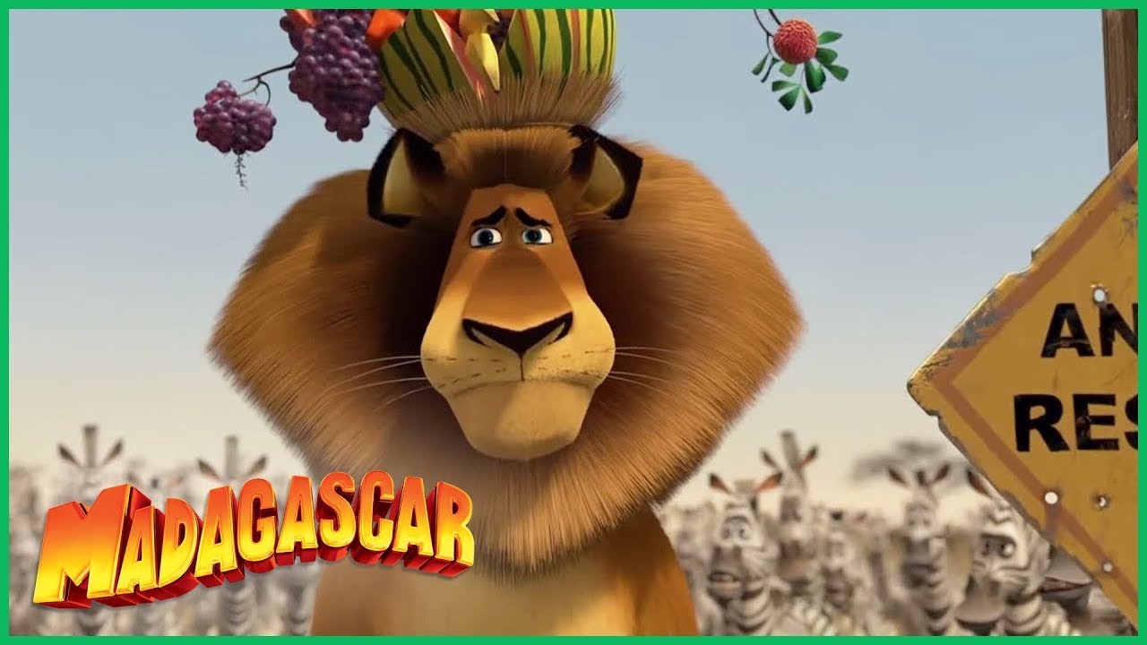 ⁣DreamWorks Madagascar | Alex sai da Reserva | Madagascar  Escape 2 Africa Filme