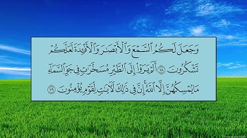 سورة النحل (الآية 70 ~ الآية 83) -  ياسر بن راشد الدوسري