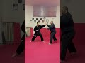 TECNICHE AIKIJUJUTSU MAESTRO 6° DAN LUCIO PICCIOLI RESPONSABILE NAZIONALE MSP &amp; AIKIDO REALE ITALIA