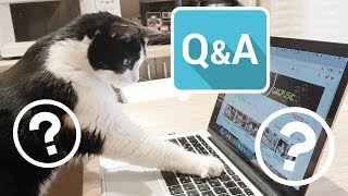 The best Q&A EVER!! | CatPusic