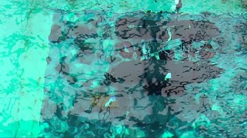 I-AUV Recovering a Black Box