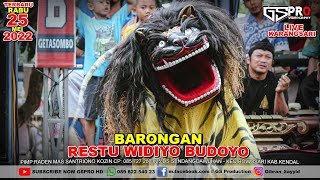 Barongan Kendal Restu Widiyo Budoyo | RWB | terbaru live karangsari 2022